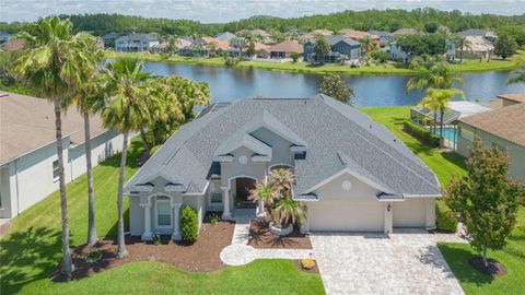 Photo of 26731 Winged Elm Drive, Wesley Chapel, FL 33544 (MLS # R4911450)
