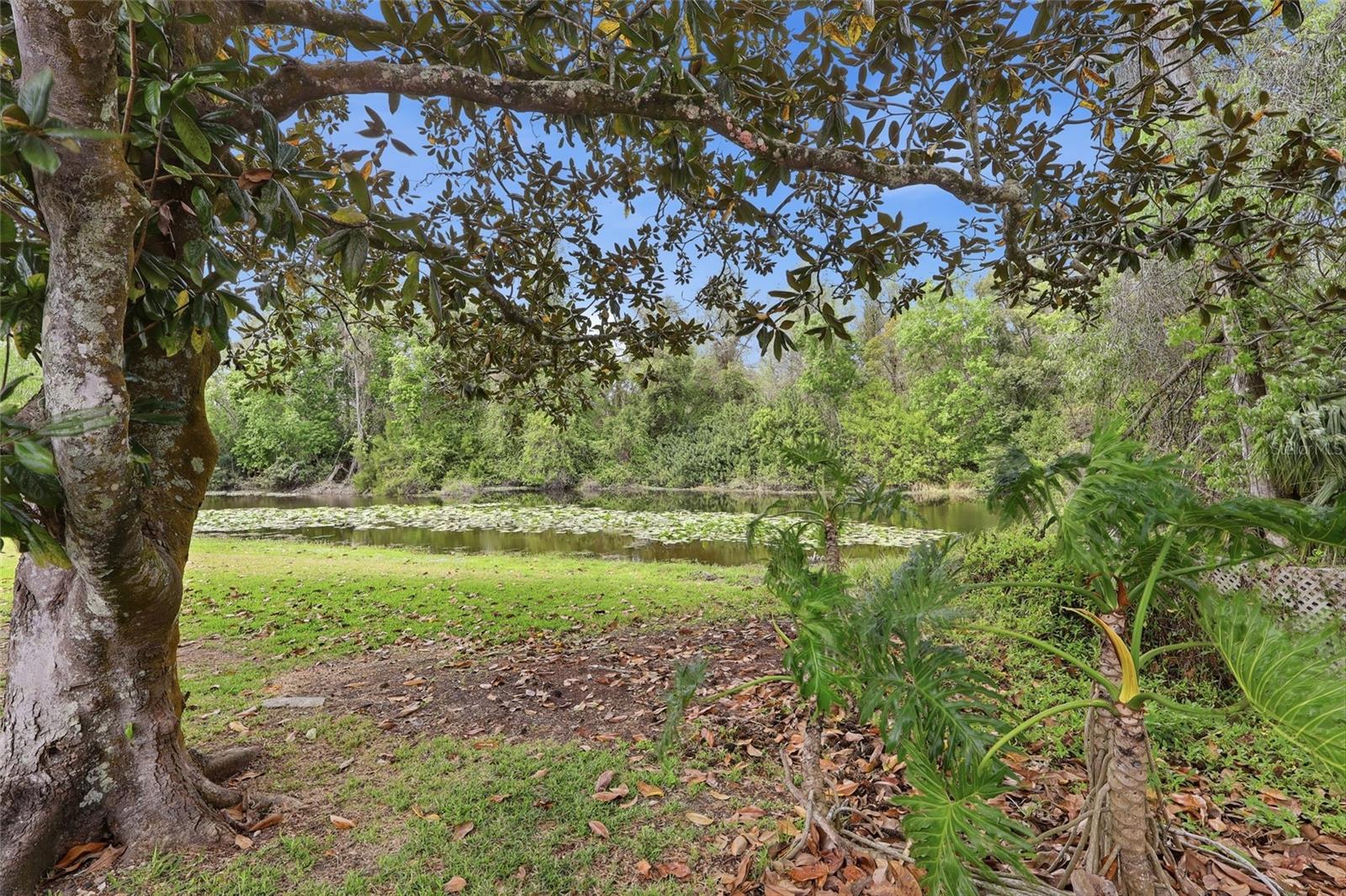 MAGNOLIA VALLEY - Residential