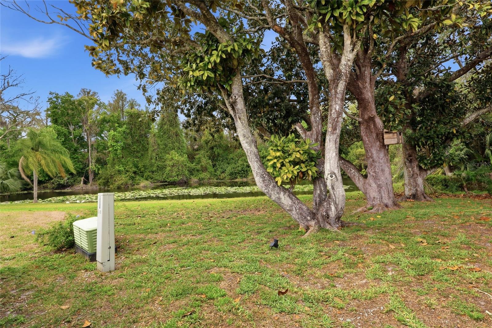 MAGNOLIA VALLEY - Residential