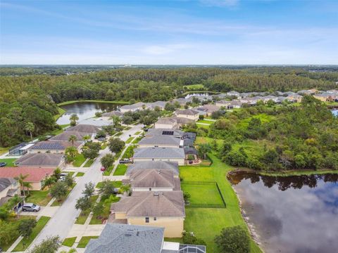 A home in TAMPA