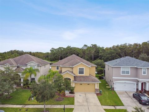 A home in TAMPA