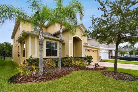 A home in TAMPA