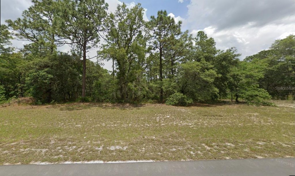 Photo of 0 138th St #Lot 9, Ocala, FL 34473 (MLS # O6397577)