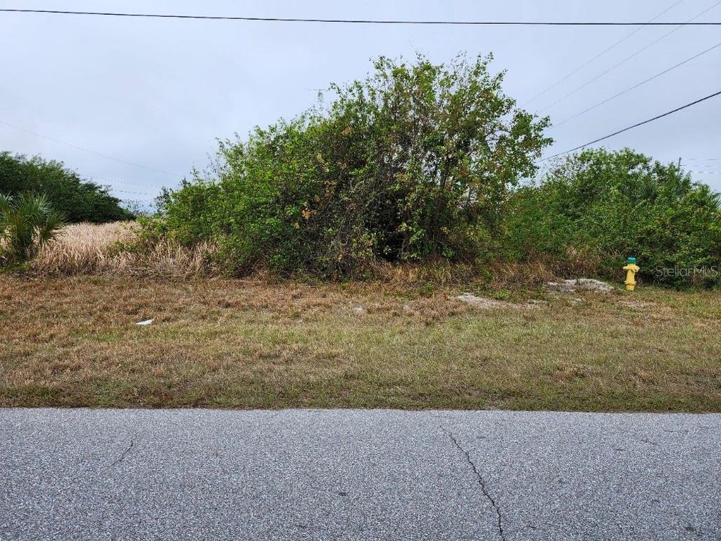 Photo of 27147 Sunnybrook Road, Punta Gorda, FL 33983 (MLS # N6135980)