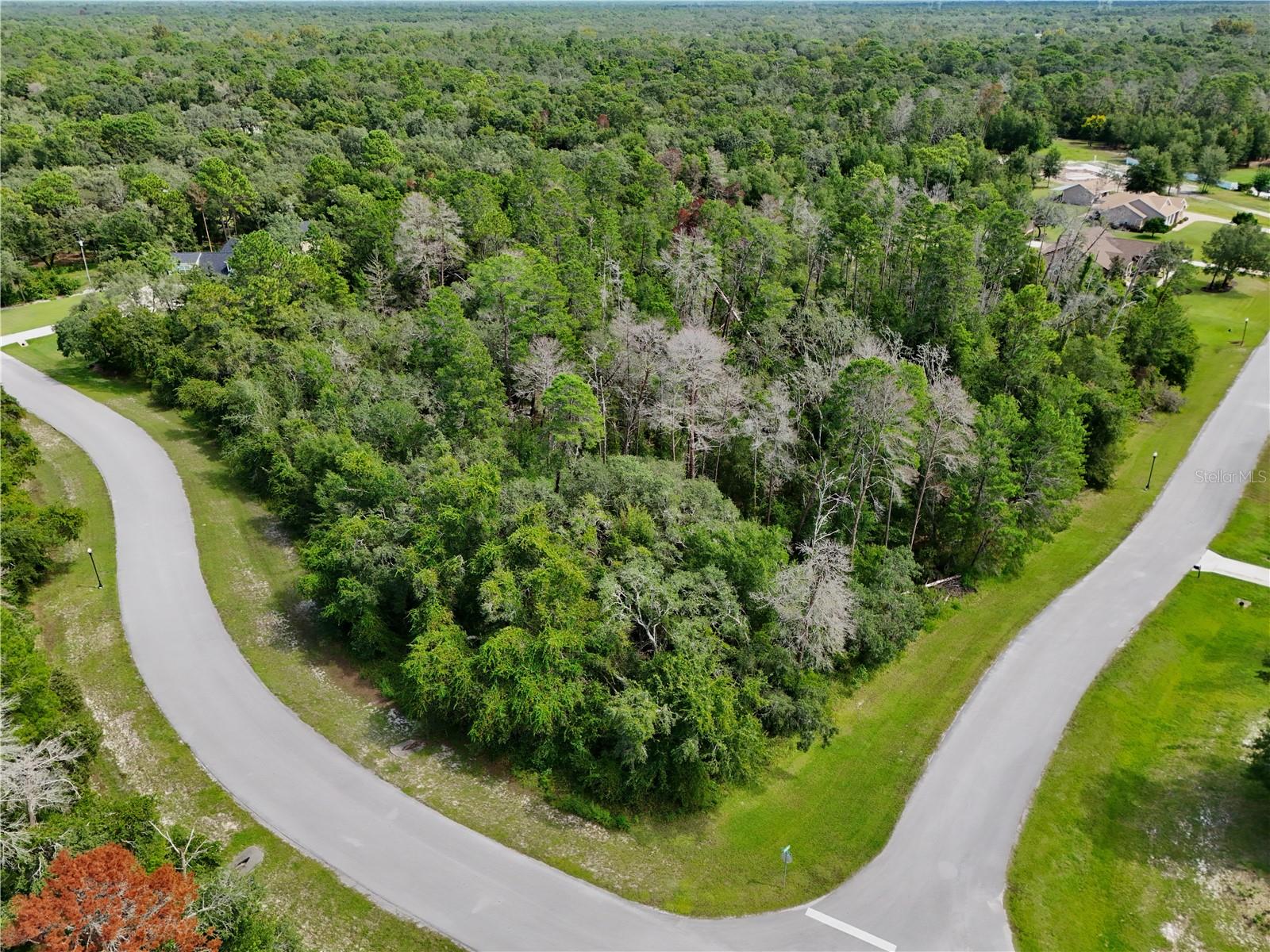 13753 SAND OAK COURT