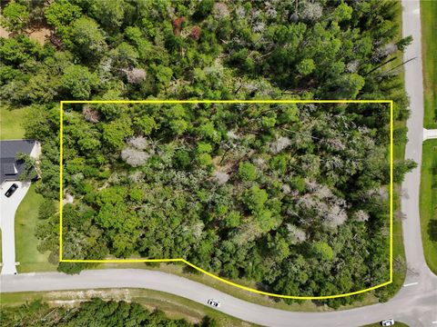 13753 SAND OAK COURT HUDSON FL 34669