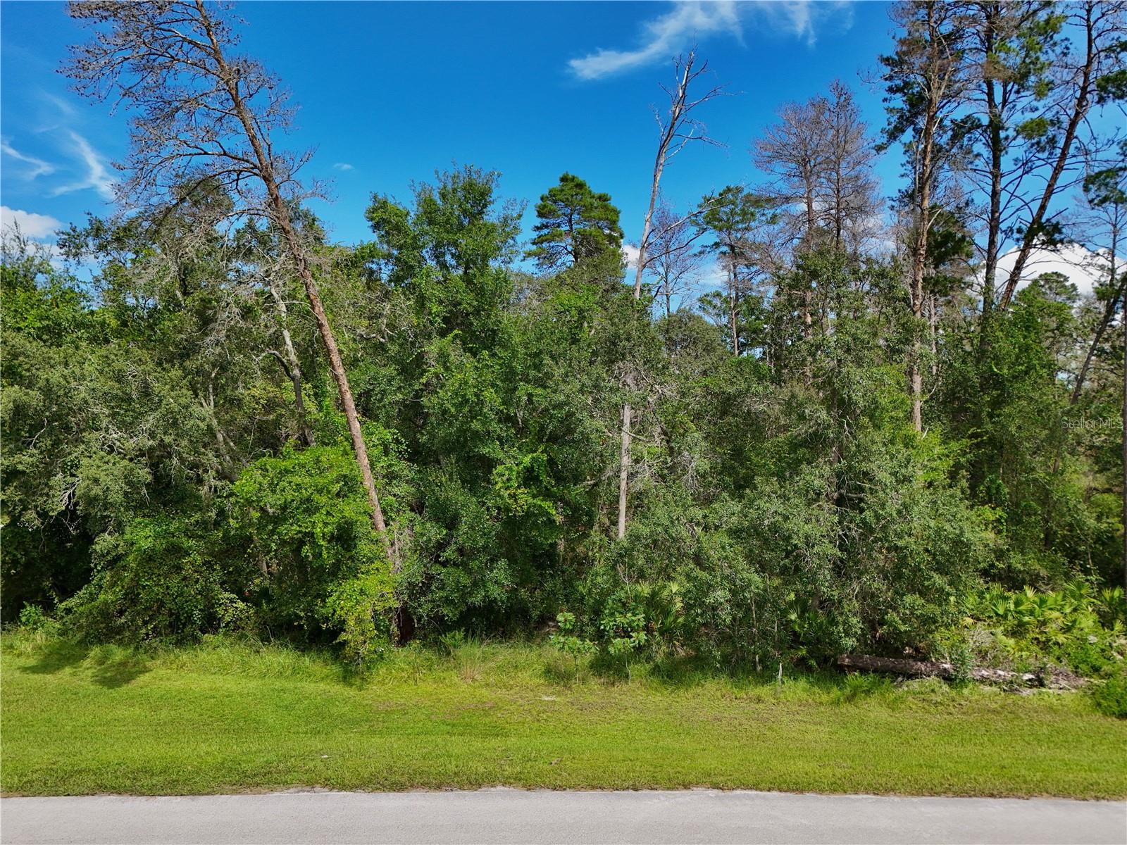 13753 SAND OAK COURT