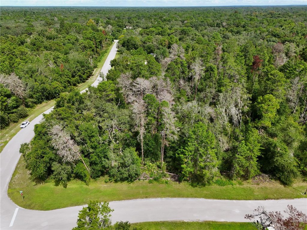 Photo of 13753 Sand Oak Court, Hudson, FL 34669 (MLS # O6347330)