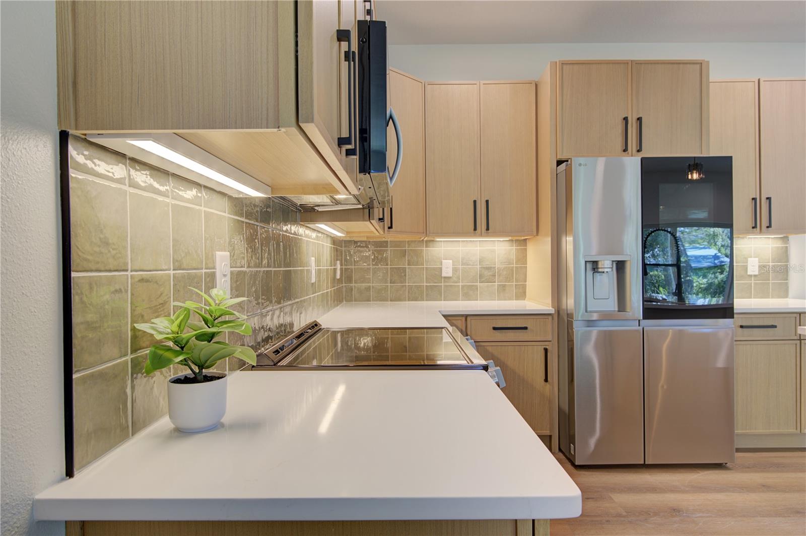 MOUNT DORA UNSER SUB - Residential