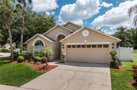 7139 COLONY POINTE DRIVE RIVERVIEW FL 33578