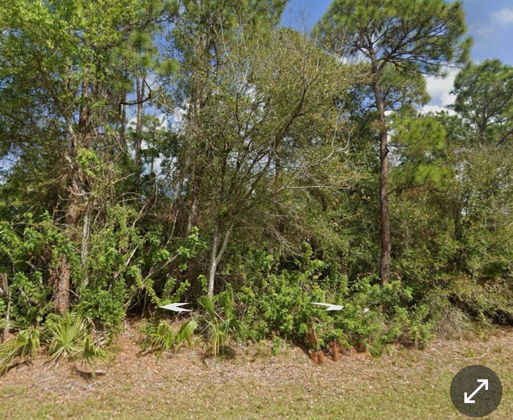 Photo of 11410 11th Avenue, Punta Gorda, FL 33955 (MLS # A4665582)