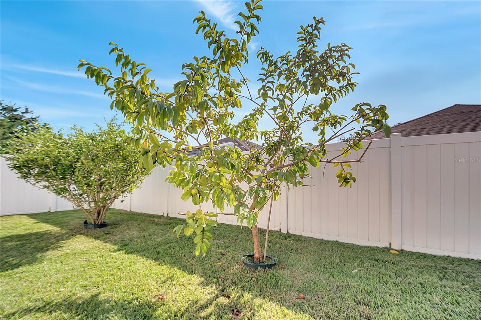 ANDOVER LAKES PH 03B - Residential