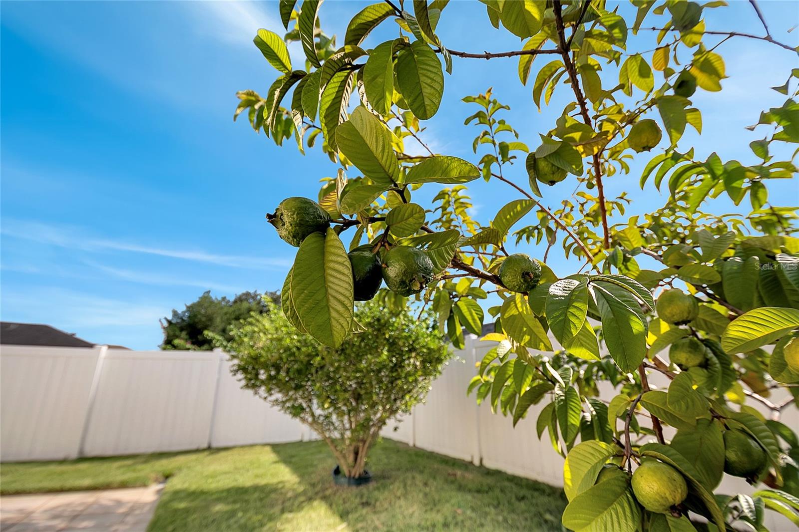 ANDOVER LAKES PH 03B - Residential