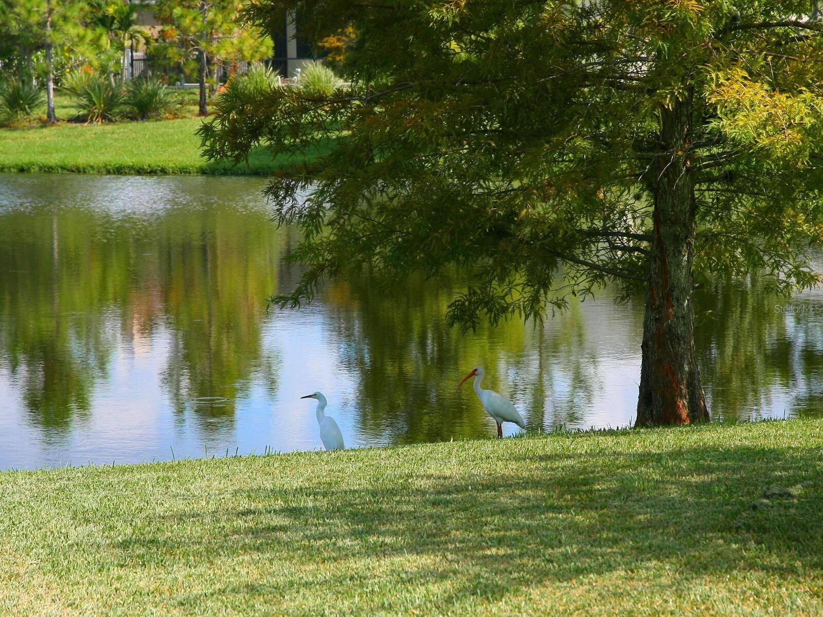 GREENBROOK VILLAGE SUBPHASE CC - Residential