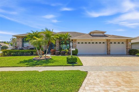 11134 WEDGEMERE DRIVE TRINITY FL 34655