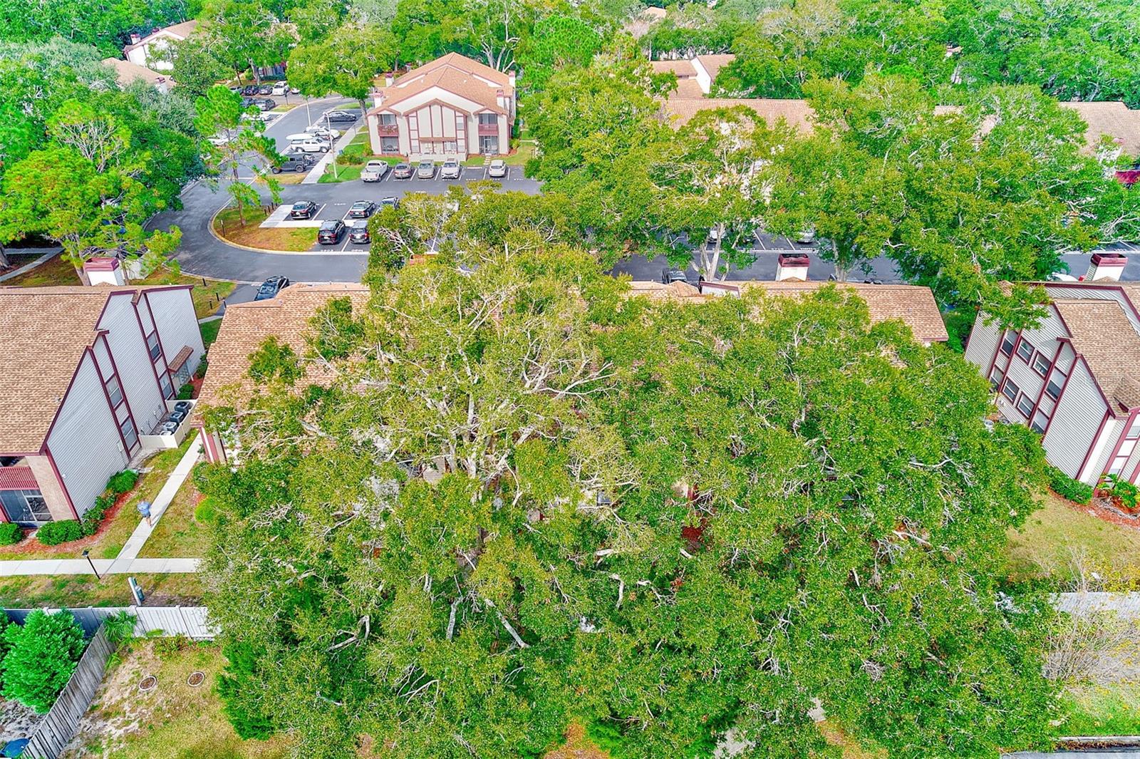 HARBOURTOWNE AT COUNTRY - Residential