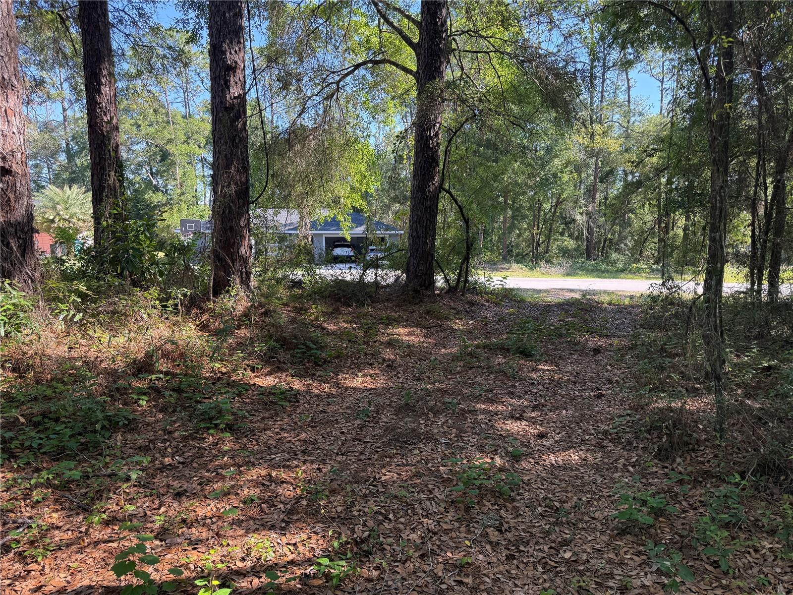 10927 N AIRWAY LOOP