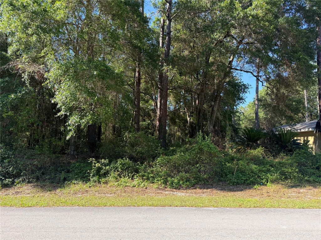 Photo of 10927 N Airway Loop, Citrus Springs, FL 34434 (MLS # TB8509295)