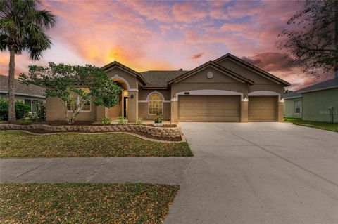 A home in PARRISH