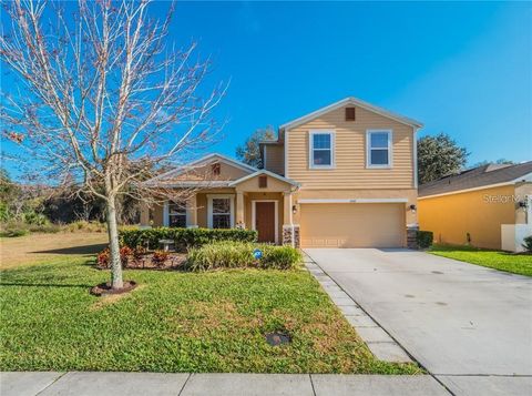 5128 GRASSY KNOLL DRIVE TAVARES FL 32778