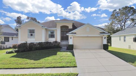 Photo of 1025 Lake Avoca Place, Tarpon Springs, FL 34689 (MLS # TB8461975)