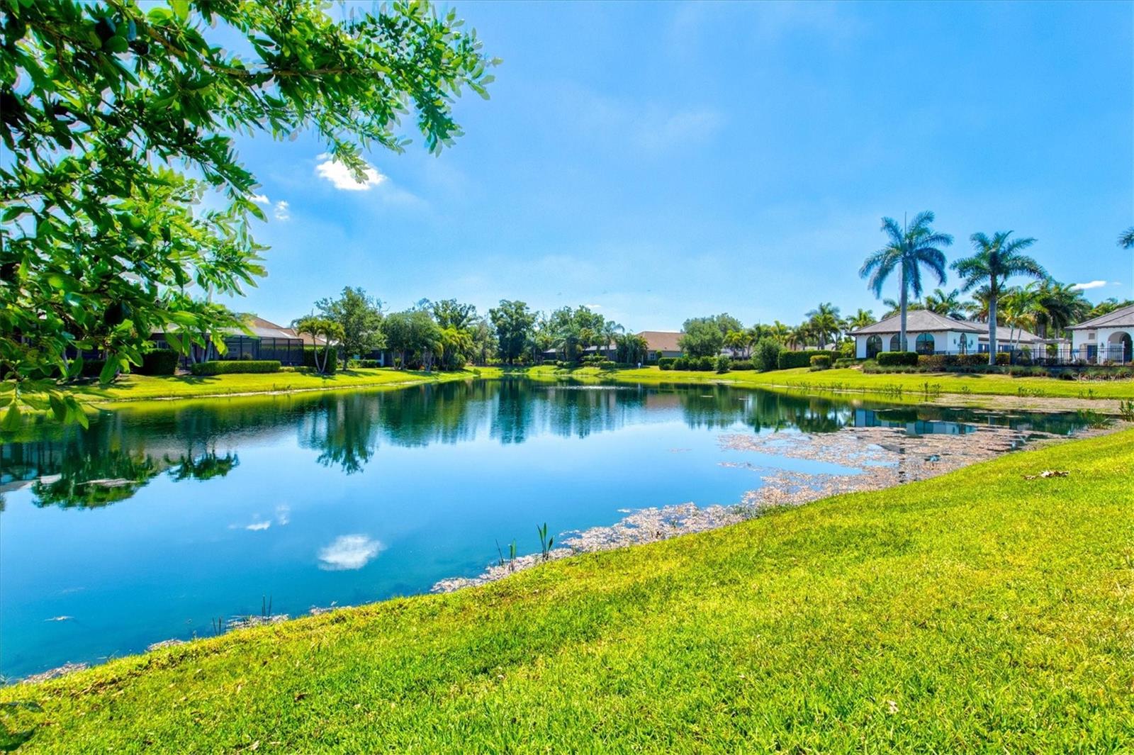 INDIGO PH II & III - Residential