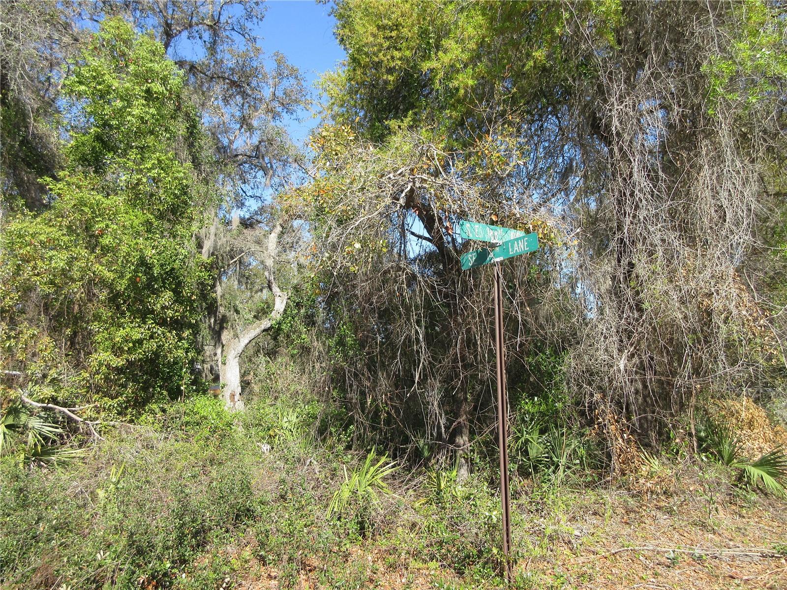 HALFMOON HOMESITES - Land