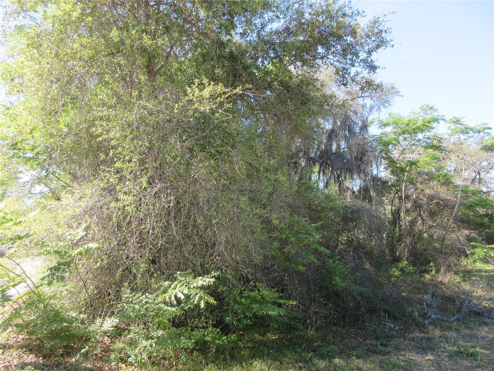 HALFMOON HOMESITES - Land