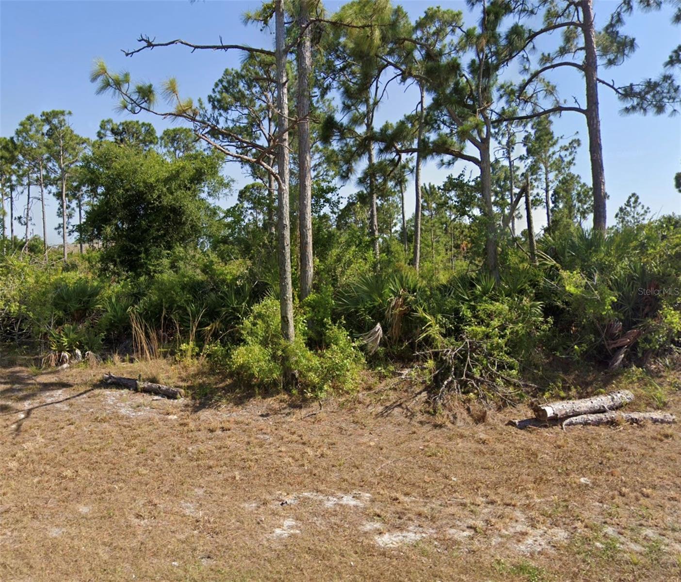 A wonderful residential vacant lot from 30 minutes of the Florida West Coast. Ideal to build your dream house or start your construction home business.This area is growing a lot and if a great option for you. Visit it today!