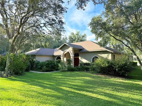 A home in HERNANDO