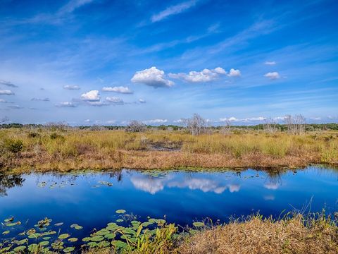 Tiny photo for 417 Blue Cypress Drive, Groveland, FL 34736 (MLS # G5106247)