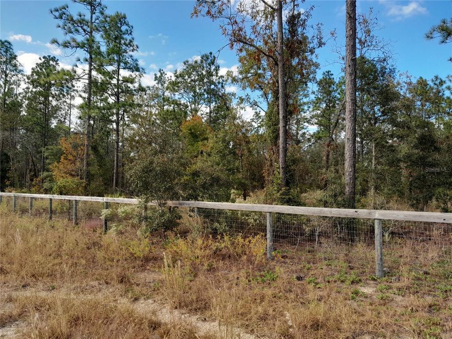 GENTLE BREEZES AND BEAUTIFUL SUNSETS! High & Dry 10.25 Acres with lots of Oaks and Pines, completely perimeter fenced and located just a few feet off a paved road on a County maintained limerock road. Centrally located between Williston and Bronson about a mile off Highway 27Alt. Zoned to allow you to build your dream house or set up a manufactured home. Parcel measures approx. 676' x 668'. No HOA and no time limit to build. Plant a garden and/or simply enjoy the country life. Close to the blueberry farm and lots of outdoor horse activities, shopping, restaurants, salons, churches, Ocala, Gainesville and Bronson.