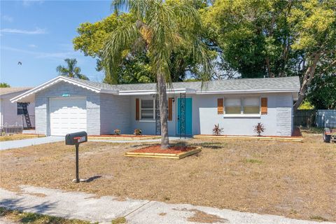 A home in PORT RICHEY