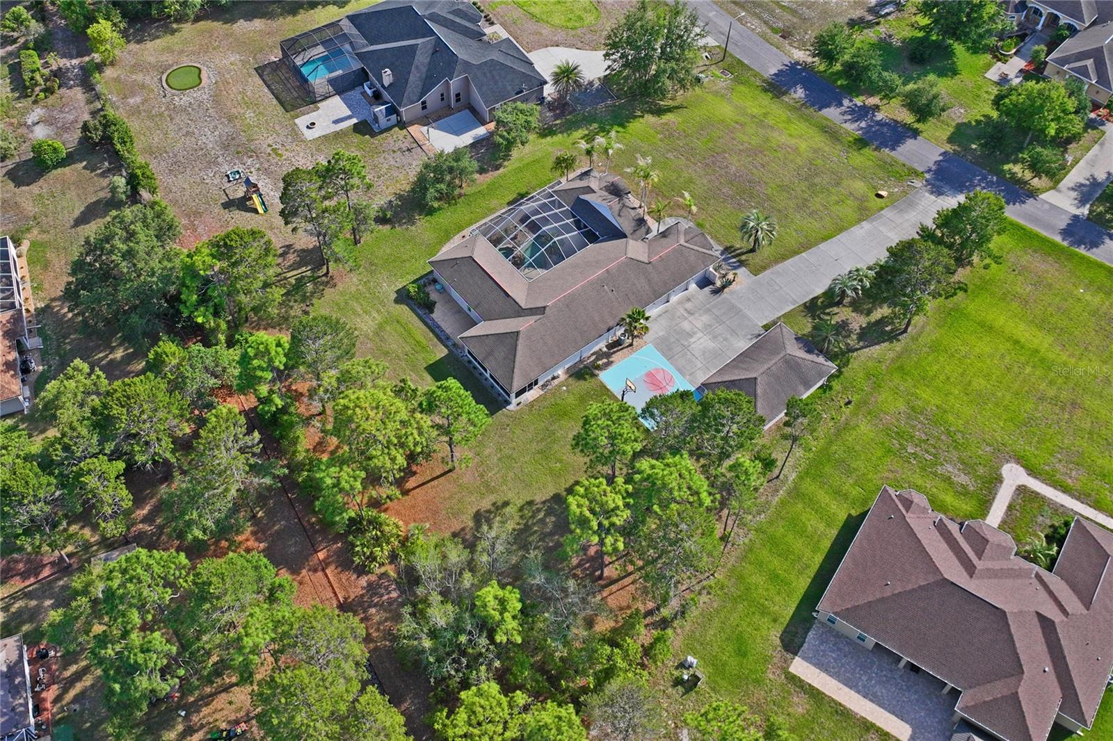 10120 SHORTLEAF COURT