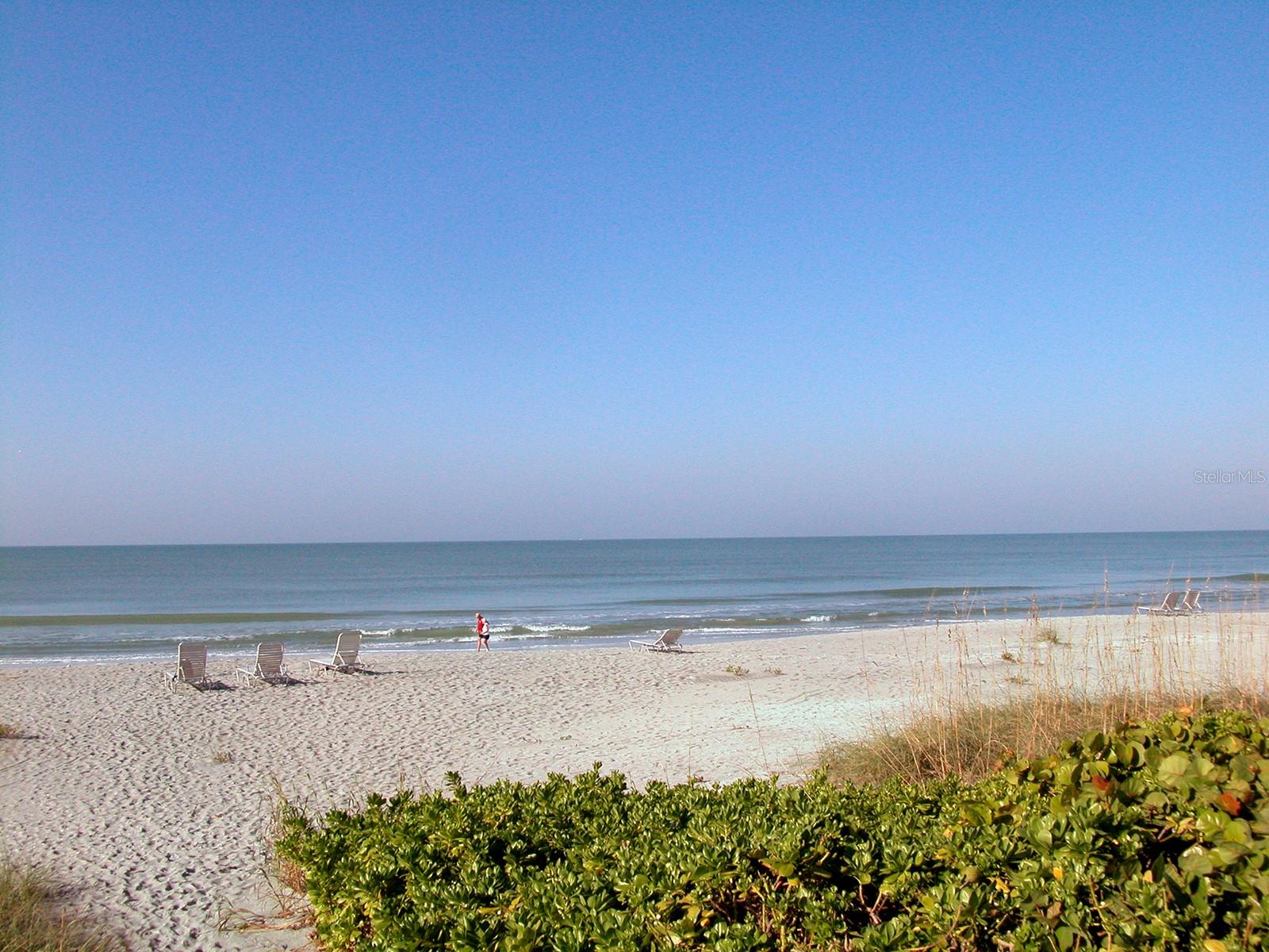 THE CASTILLIAN - Residential