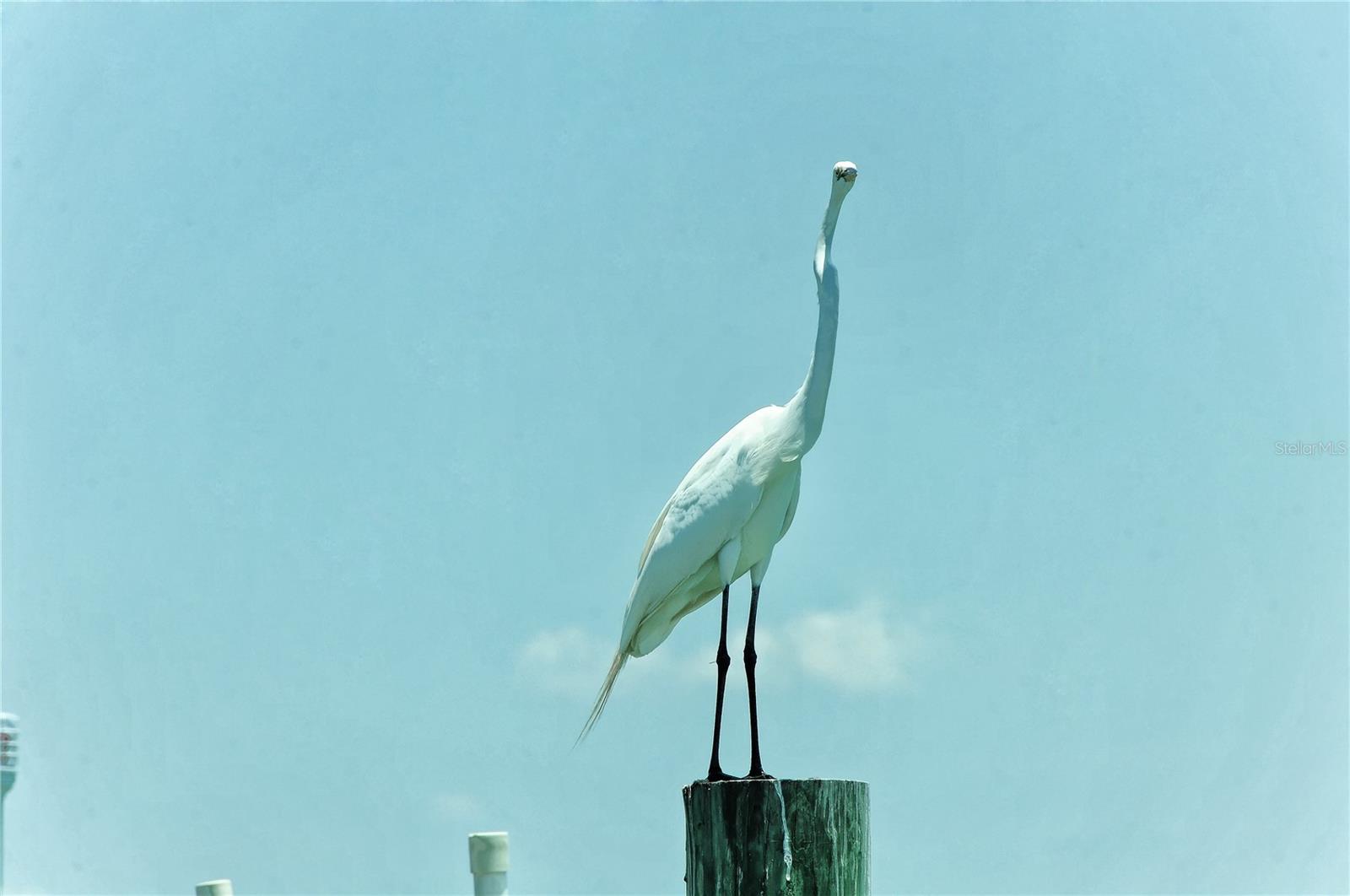 6040 BOCA GRANDE CAUSEWAY 5