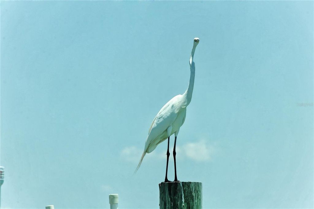 Photo of 6040 Boca Grande Causeway #5, Boca Grande, FL 33921 (MLS # D6143184)