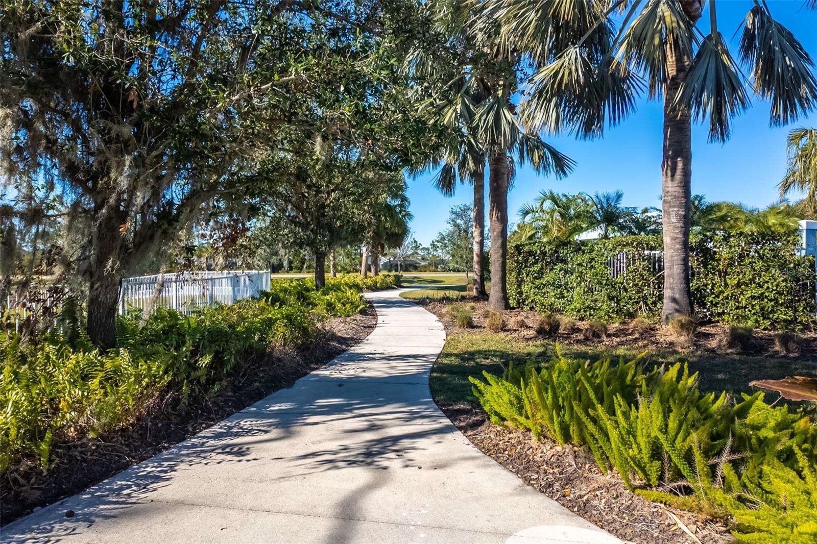 SILVERLEAF PH IV - Residential