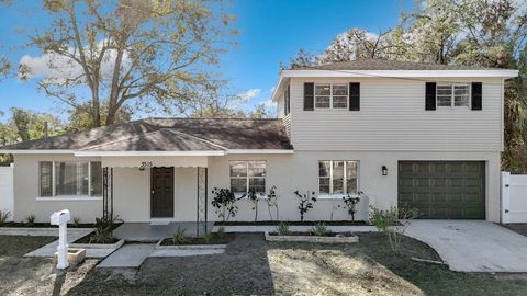 A home in TAMPA