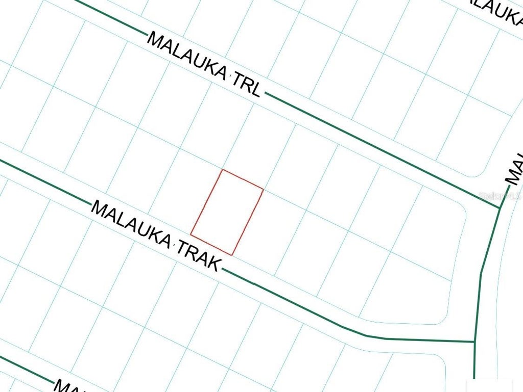 Photo of Malauka Track, Ocklawaha, FL 32179 (MLS # OM729776)