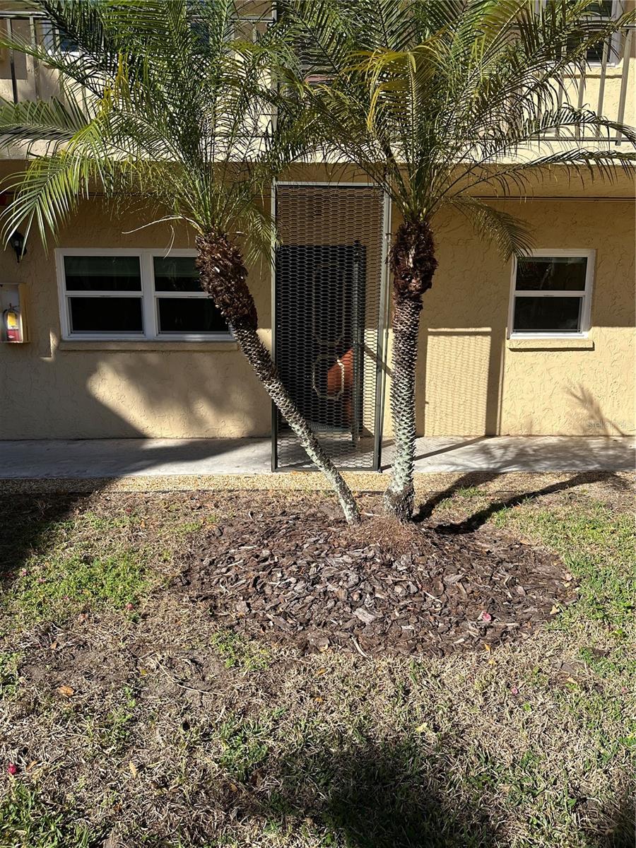 WATERS EDGE 3 CONDO - Residential