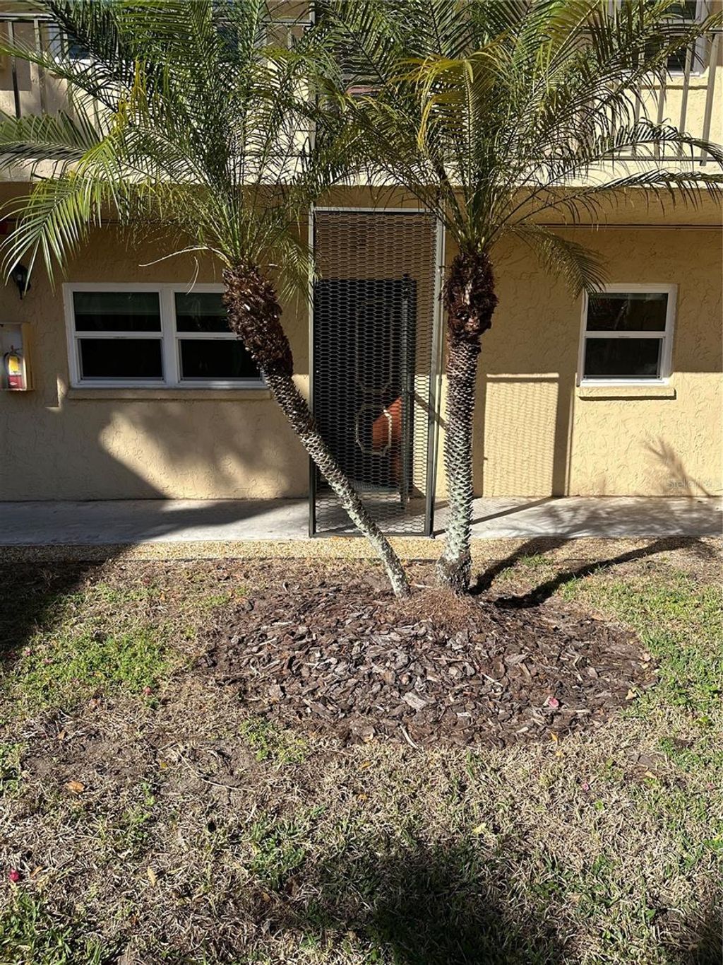 Photo of 11485 Oakhurst Road #200-114, Largo, FL 33774 (MLS # TB8471419)