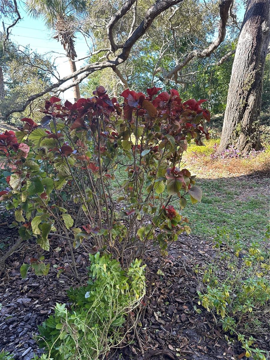 WATERS EDGE 3 CONDO - Residential