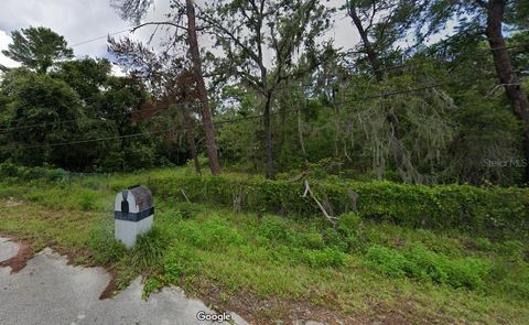 10113 WADDELL STREET NEW PORT RICHEY FL 34654