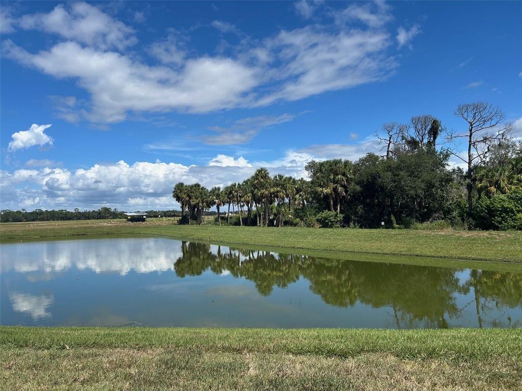 Photo of 10104 Hidden Hammock Loop, Parrish, FL 34219 (MLS # TB8435054)