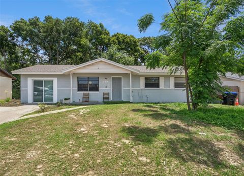 Photo of 1691 Lucy Terry Avenue, Apopka, FL 32703 (MLS # V4949061)