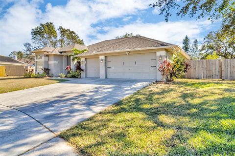 A home in RIVERVIEW