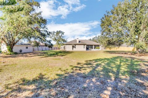 A home in RIVERVIEW