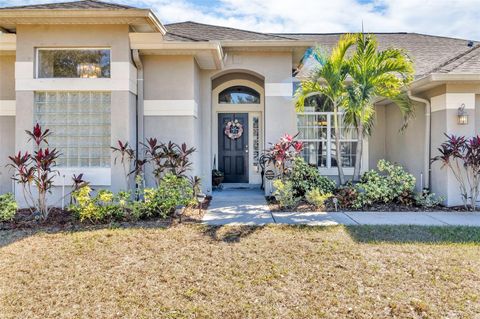 A home in RIVERVIEW