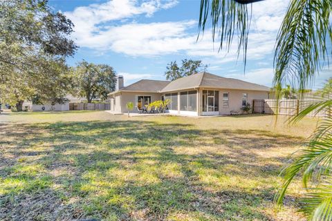 A home in RIVERVIEW